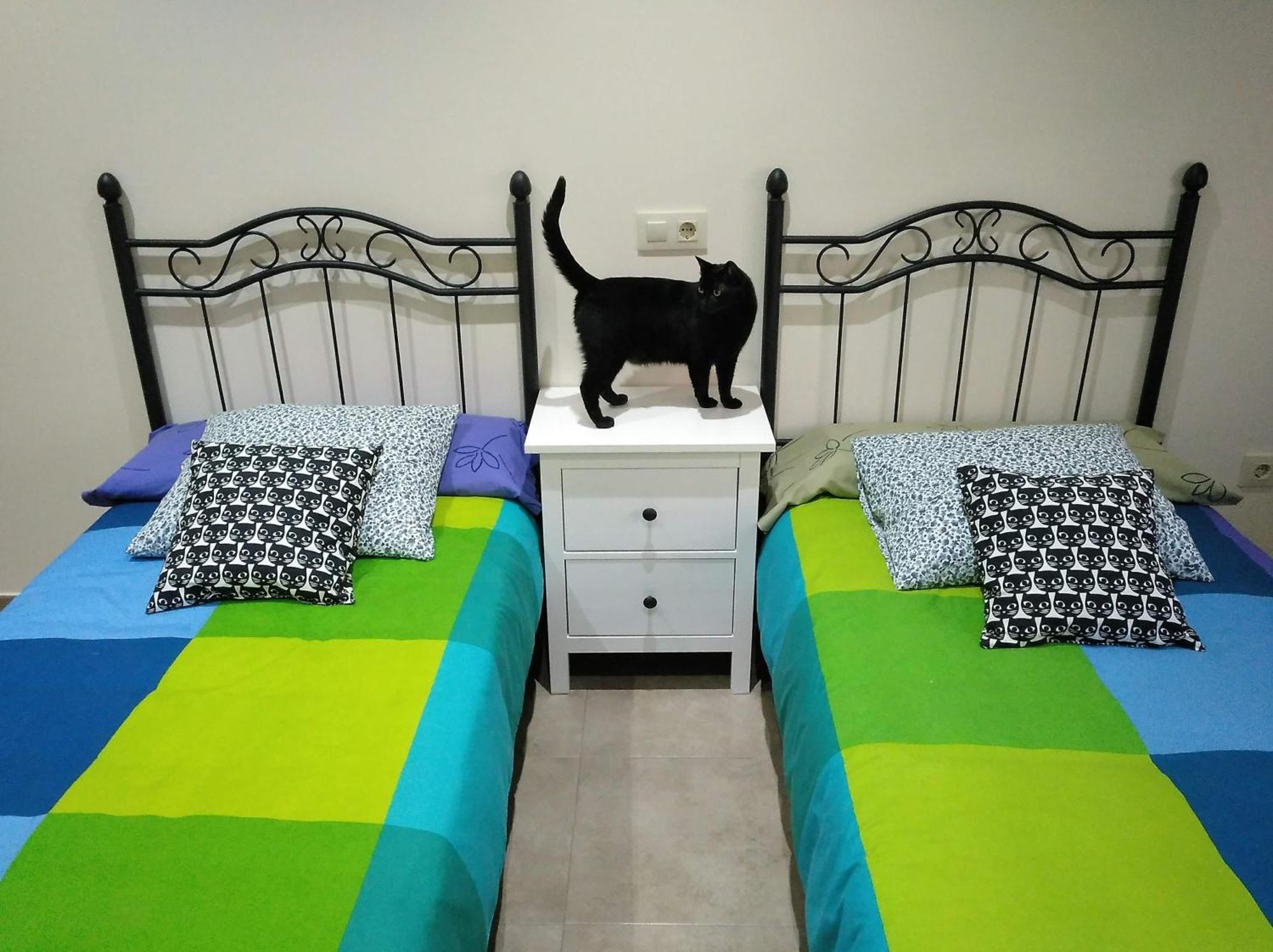Casa Rural El Gato Negro Трефасио Экстерьер фото