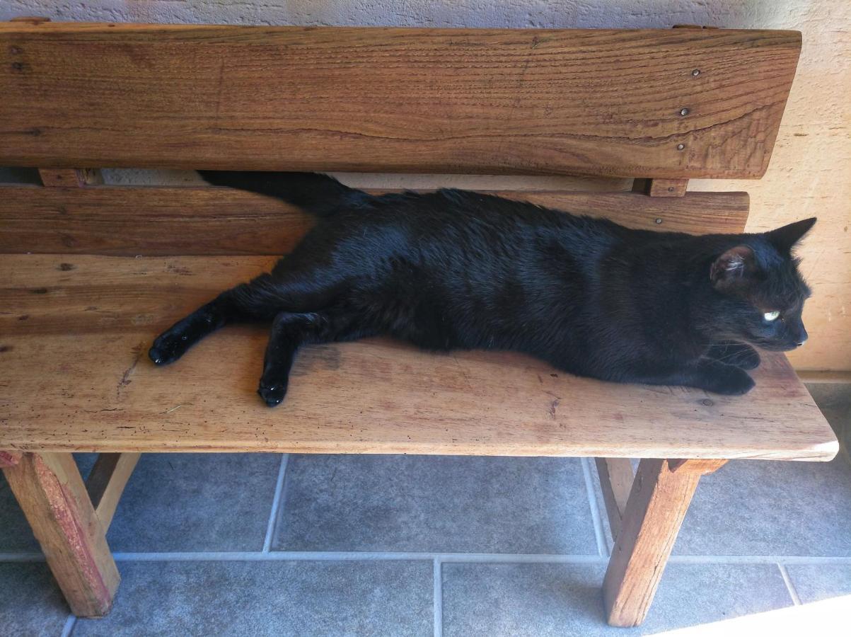 Casa Rural El Gato Negro Трефасио Экстерьер фото